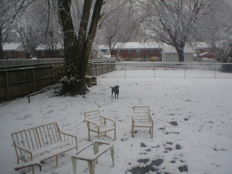 Katie in the snow.JPG